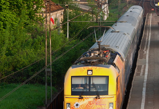 EU44-009